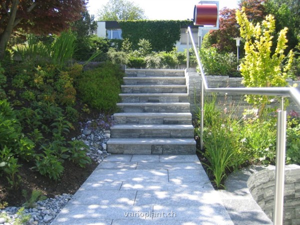 Treppe in neuer Bepflanzung